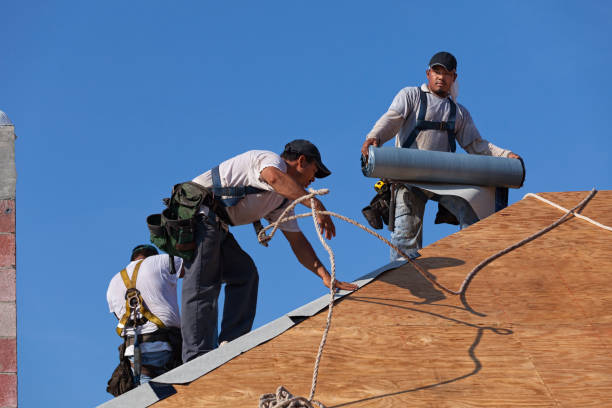 Best Storm Damage Roof Repair  in Childersburg, AL